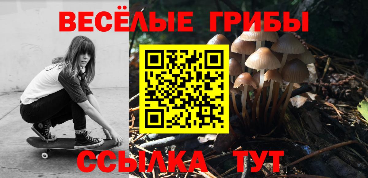 Галлюциногенные грибы мицелий Курчалой