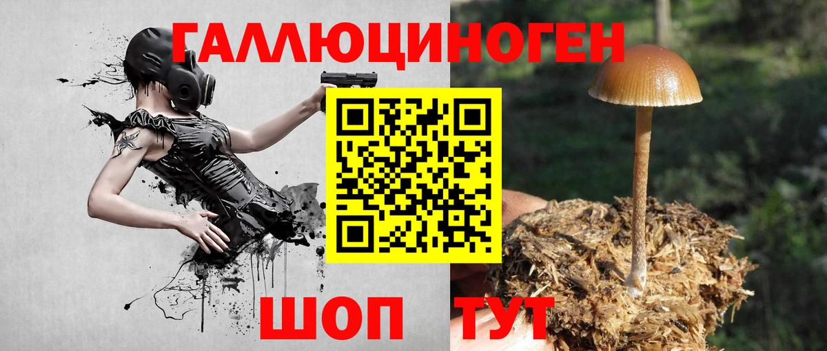 Галлюциногенные грибы MAGIC MUSHROOMS  Галлюциногенные грибы MAGIC MUSHROOMS  Курчалой  Вход с VPN 
