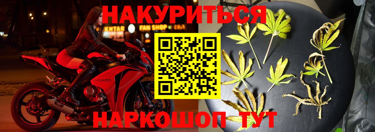 Канабис индика Курчалой